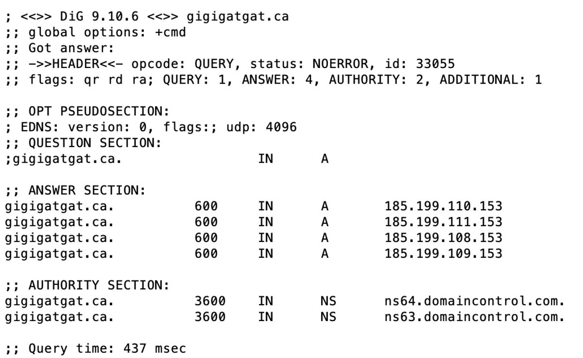 Dig Command Result