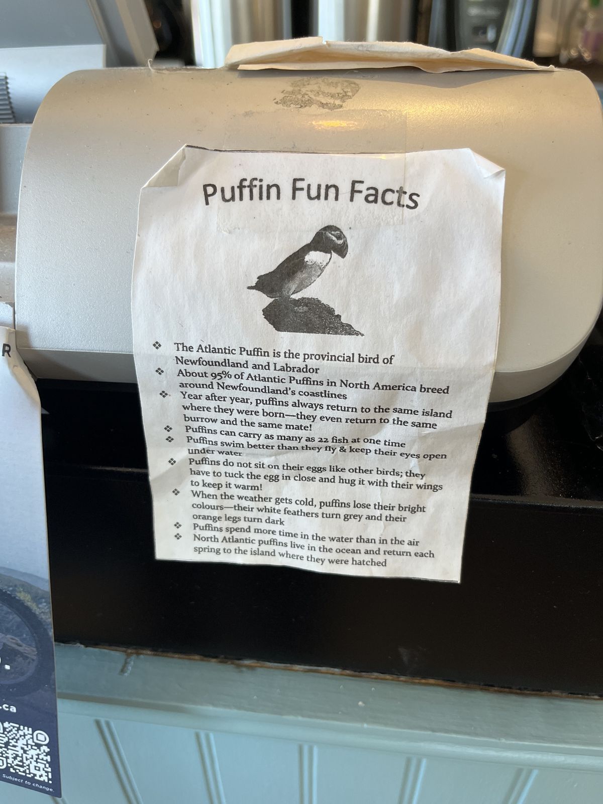 puffin fun facts