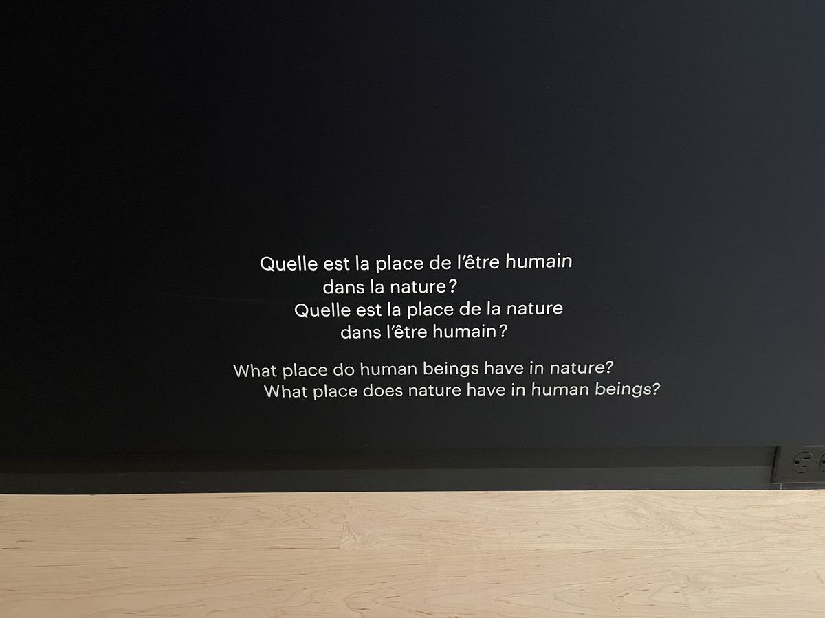 art museum 3