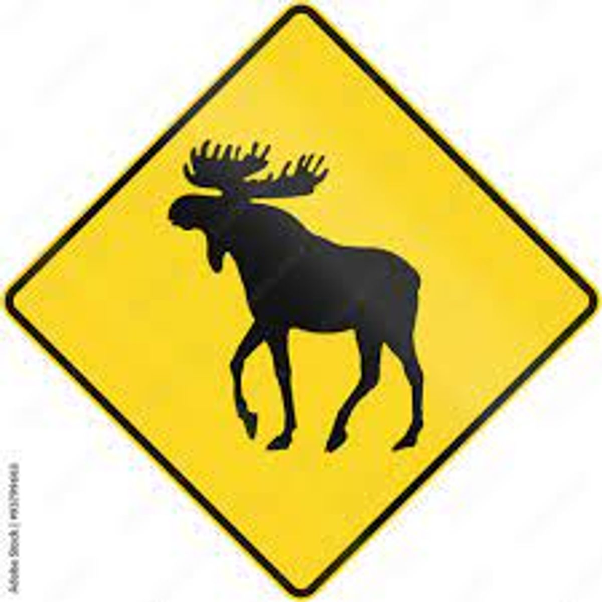 moose crossing sign