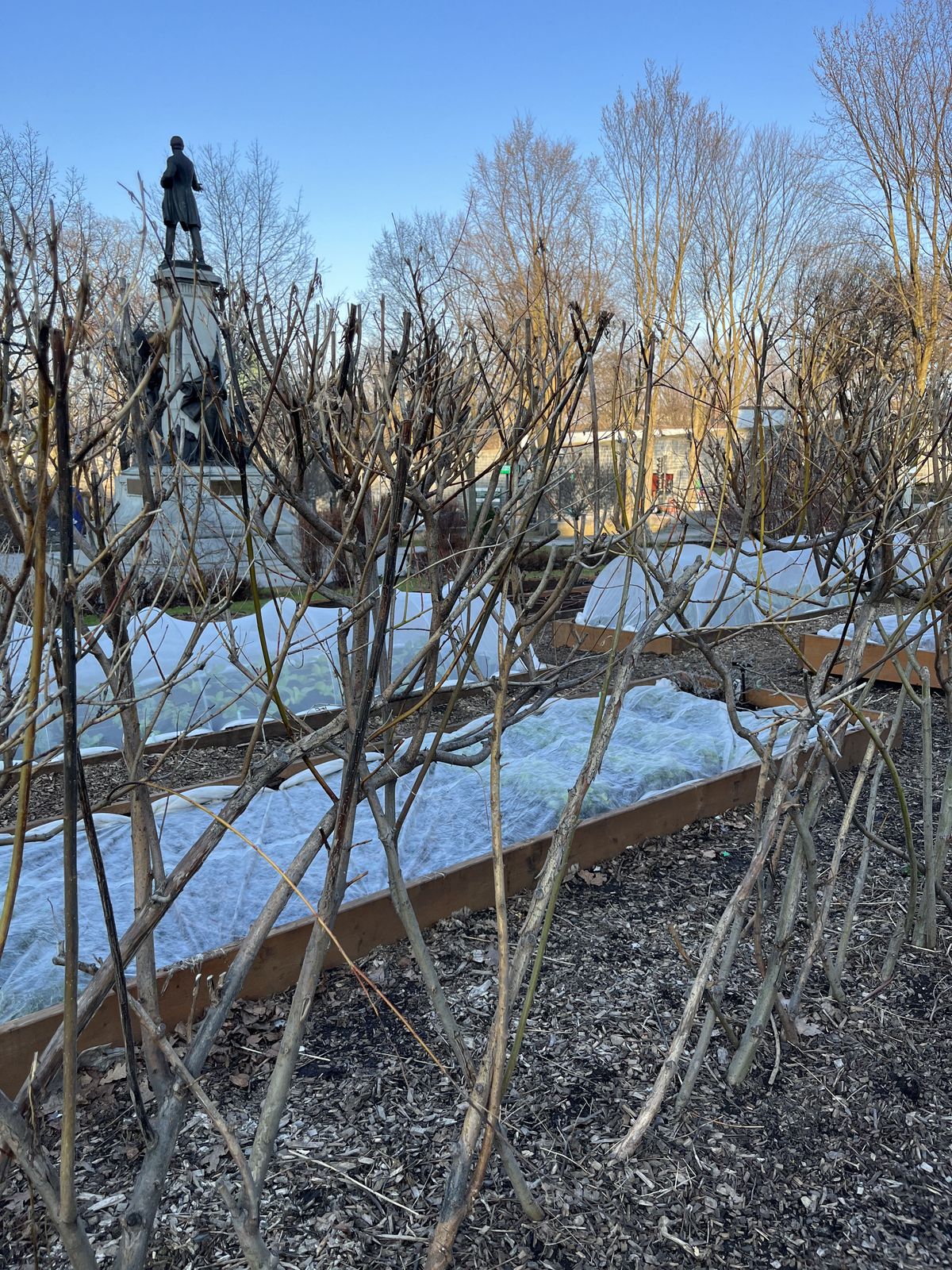 parliament hill garden in 2023
